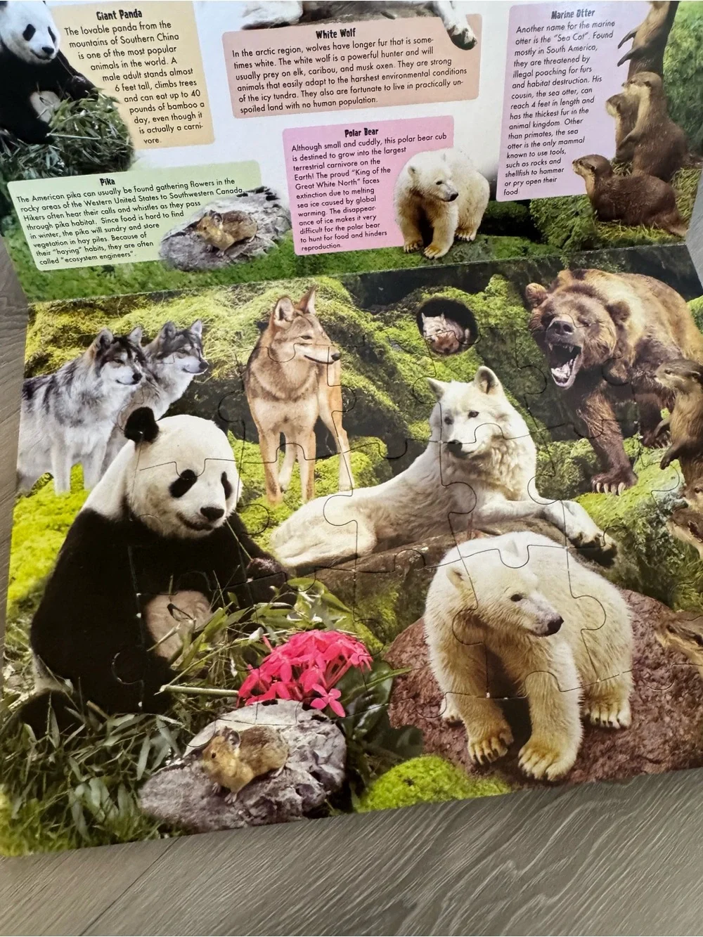 Animal treasures large puzzle book featuring endangered animals